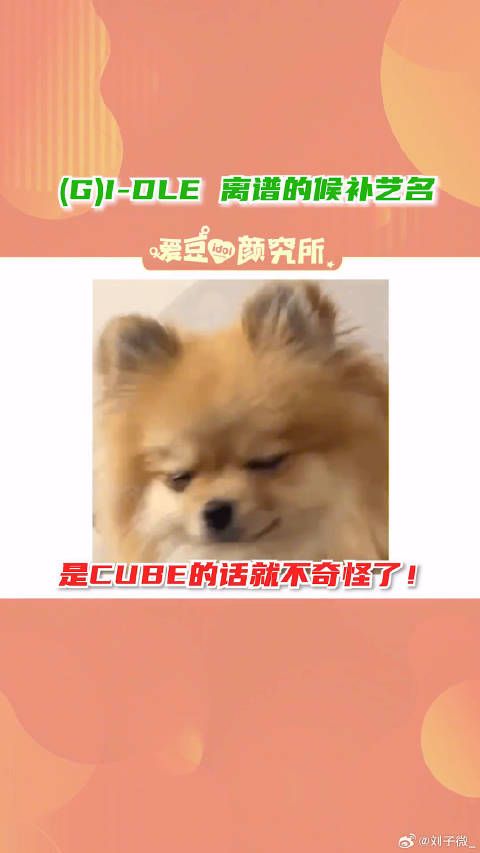 真的很想知道那个把米妮难听哭了的团名叫什么宋雨琦 赵美延 叶舒华