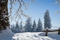 郎朗与国际钢琴大师合作演出音乐盛宴