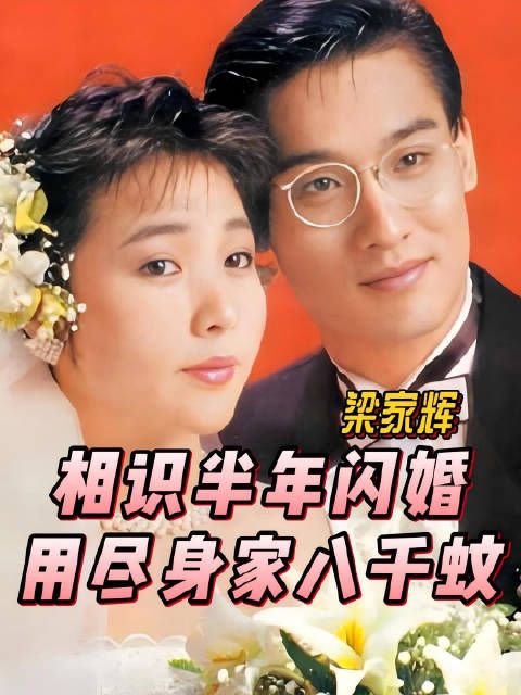 与江嘉年 认识半年就闪婚，用尽全部身家八千蚊，黎芷珊TVB四味毒叔