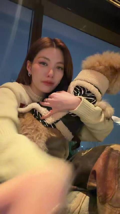 lingorm 狗狗:你确定要我开口回复你吗