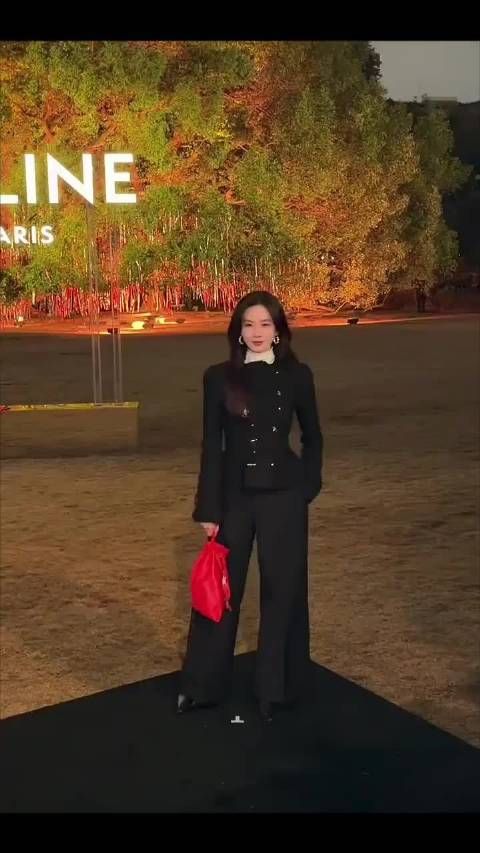 刘诗诗全黑造型亮相活动，手拎CELINE红色手袋点睛