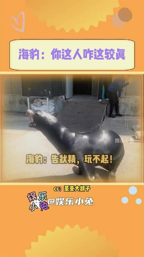 以为是抽象，没想到是实况…….