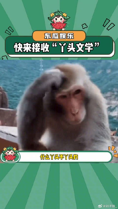 我就站在这，看谁敢笑我闺蜜老公丫头 微博VC计划