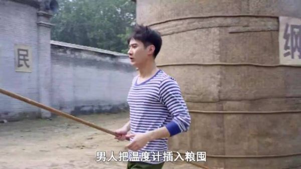 男人去检查小麦温度，谁知因一个疏忽，900吨粮食全部腐烂发芽！