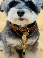 酷酷的小呆米去探班啦