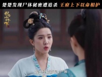 苏晓彤揭穿张宸逍假死秘密，南赵使者下令屠杀王府