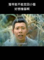 陈拾：猫爷，能不能变回小猫，好想撸猫啊