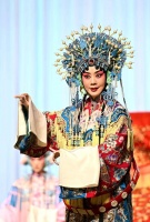 河北石家庄：引进高雅艺术 丰富文化生活