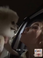 lingorm 倔强的狗子热情的她