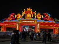 自贡200名大师50天扎出12米“发光发财树”！武汉园博园花灯会启幕