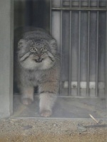 在广州逛街，被当成了捞女。过了这村就没这店的那种。