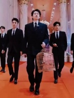 周五晚高疯官宣九位艺人引爆期待