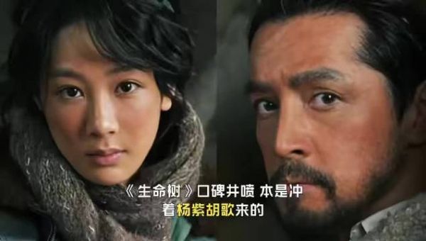 《生命树》口碑井喷,本是冲着杨紫胡歌来的,却被50岁女配角惊艳