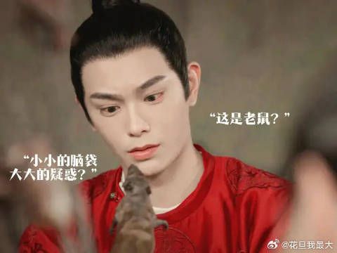 李饼与猫爷互动引关注,坦白局化解误会