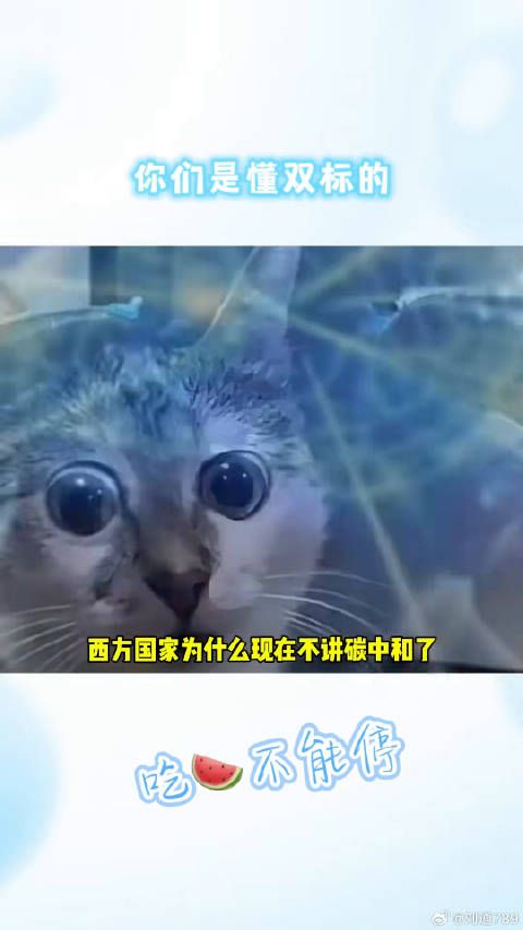 果然打脸来的如此之快娱乐评论大赏