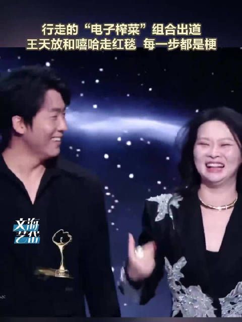 王天放嘻哈走红毯都这么有梗