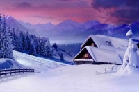 成都世界园艺博览会筹备进展顺利