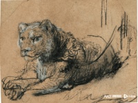 伦勃朗素描《休憩的幼狮》拍出1270万欧元高价