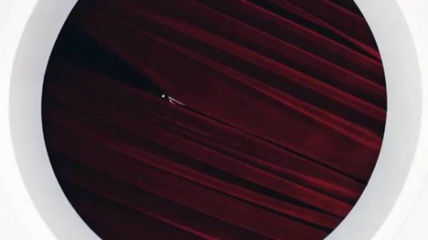 idol进欧美圈究竟有多卑微？ lisa rose朴彩英 blackpink