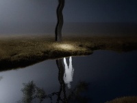 大s事件像短剧，前夫是“商贾之女”，后夫是“高门贵女”