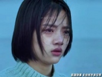 《悲伤逆流成河》主演赵英博任敏等谈雪崩台词