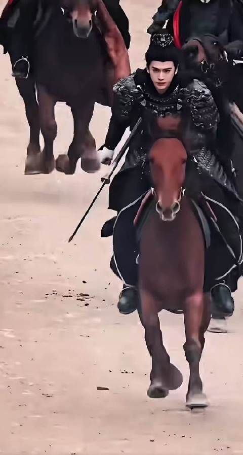 张凌赫粉丝深情告白，世界在你身后我们在你左右