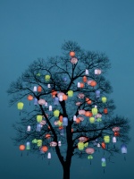 一整天超5万人，西溪灯会人潮如织，夜景引赞叹