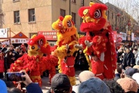 瑞狮鳌鱼齐送福，流光溢彩聚鲍岛，青岛萝卜·元宵·糖球会再掀民俗热潮