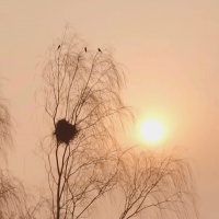 七律 春风（外三首）