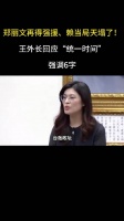 郑丽文再得强援、赖当局天塌了！王外长回应“统一时间”，强调6字