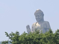 淹城春秋乐园夜场表演深度解析：值得专程前往吗？演出时间与全攻略