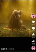 月活进入平稳期，“鹅票票”能否扛起腾讯音乐增长大旗？｜看财报