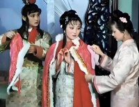 作者更偏爱宝钗还是黛玉？毋庸置疑是黛玉，受宠的宝琴也比不了