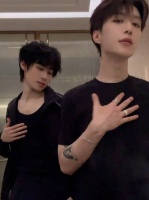 找不到这两个人一起合拍能输的理由