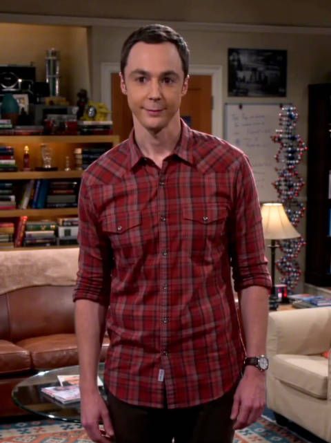 《生活大爆炸》今秋回归荧幕，谢耳朵喊你收看