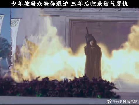 太好看了，因为一个片段追完整部剧f2s