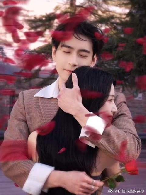 漫天飞舞的花瓣是藏在风里的我爱你