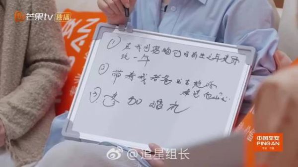 倪虹洁期待参加儿子婚礼