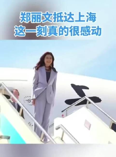郑丽文上海走下飞机