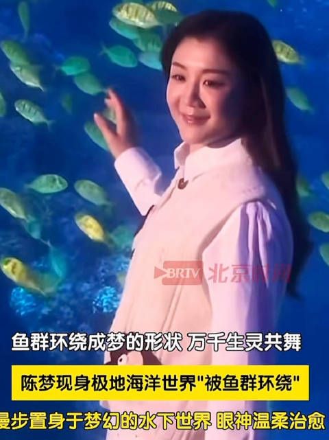 陈梦长了一张国泰民安脸