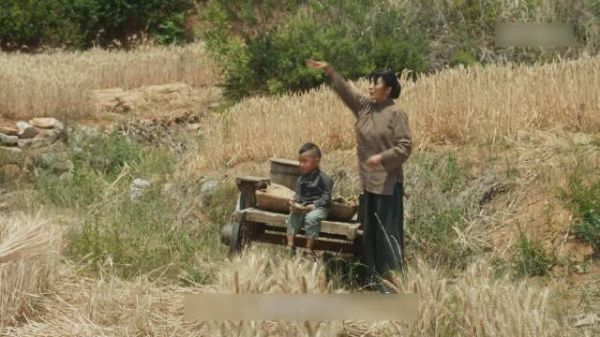 杨幂演技突破重塑85花格局