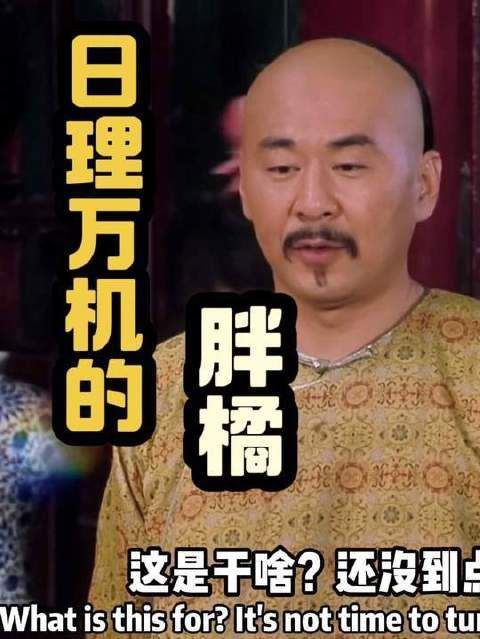 身兼数职的胖橘大佬