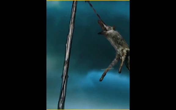 百匹战马冻死冰湖疑遭狼群报复