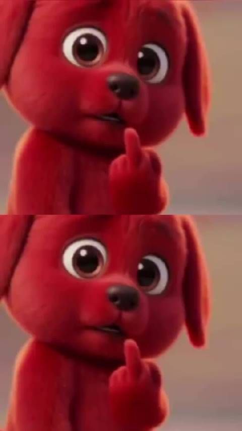 张婉婷曾任高云翔经纪人董璇眼神引热议