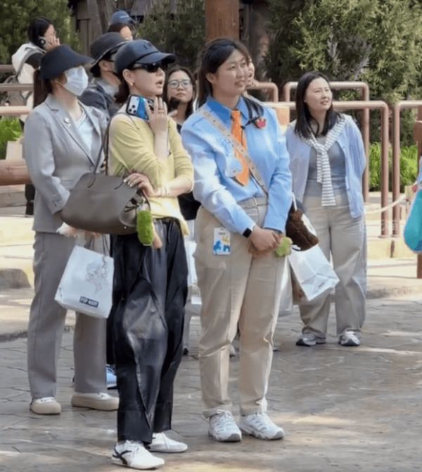 搜狐娱乐讯 近日，戚薇带儿子逛乐园，3岁Seven戴着口罩墨镜遮脸，跟在妈妈身旁很是乖巧。 