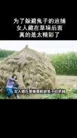 为了躲避鬼子的追捕女人藏在草垛后面
