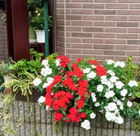 全球当代儿童文学理论家