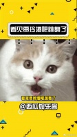 起猛了，看见贾玲跳舞了！微博VC计划