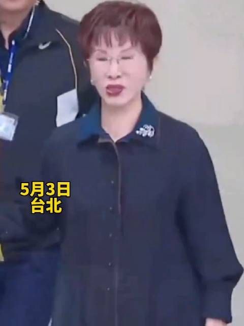 郑丽文，洪秀柱，看到了台湾希望