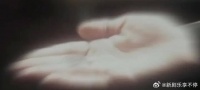 世间法理万千，难敌一句甘愿